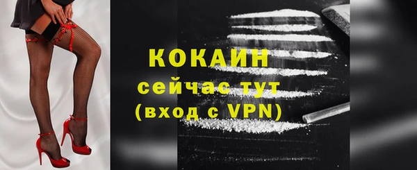 сатива Зерноград
