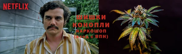 сатива Зерноград