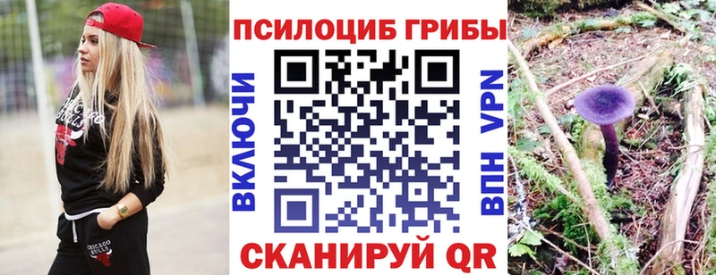как найти закладки Катайск Псилоцибиновые грибы мухоморы